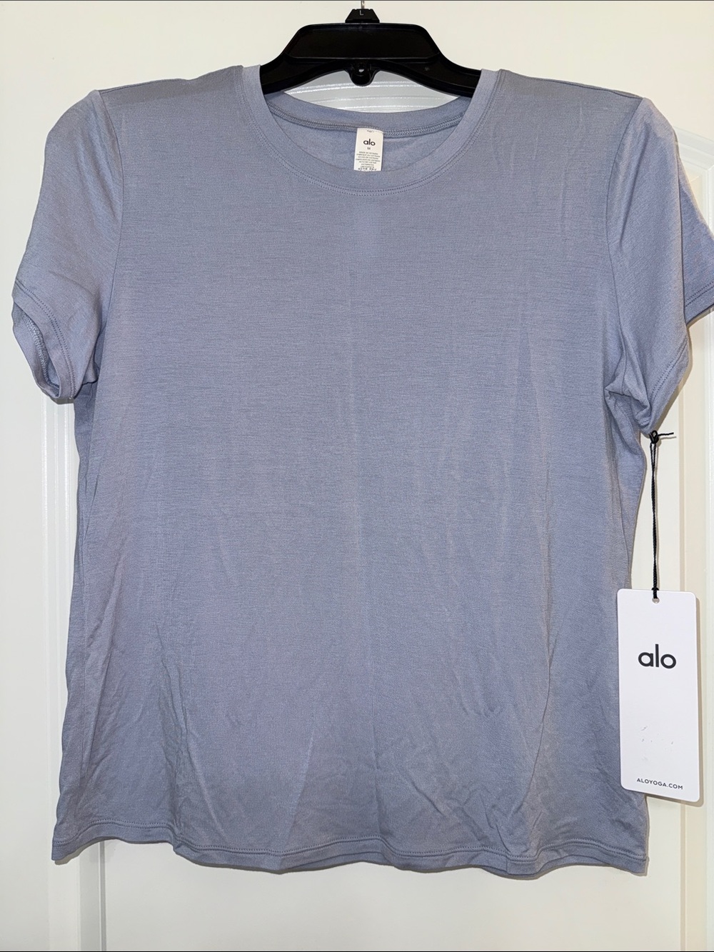 NWT Alo All Day Short Sleeve *limited color*